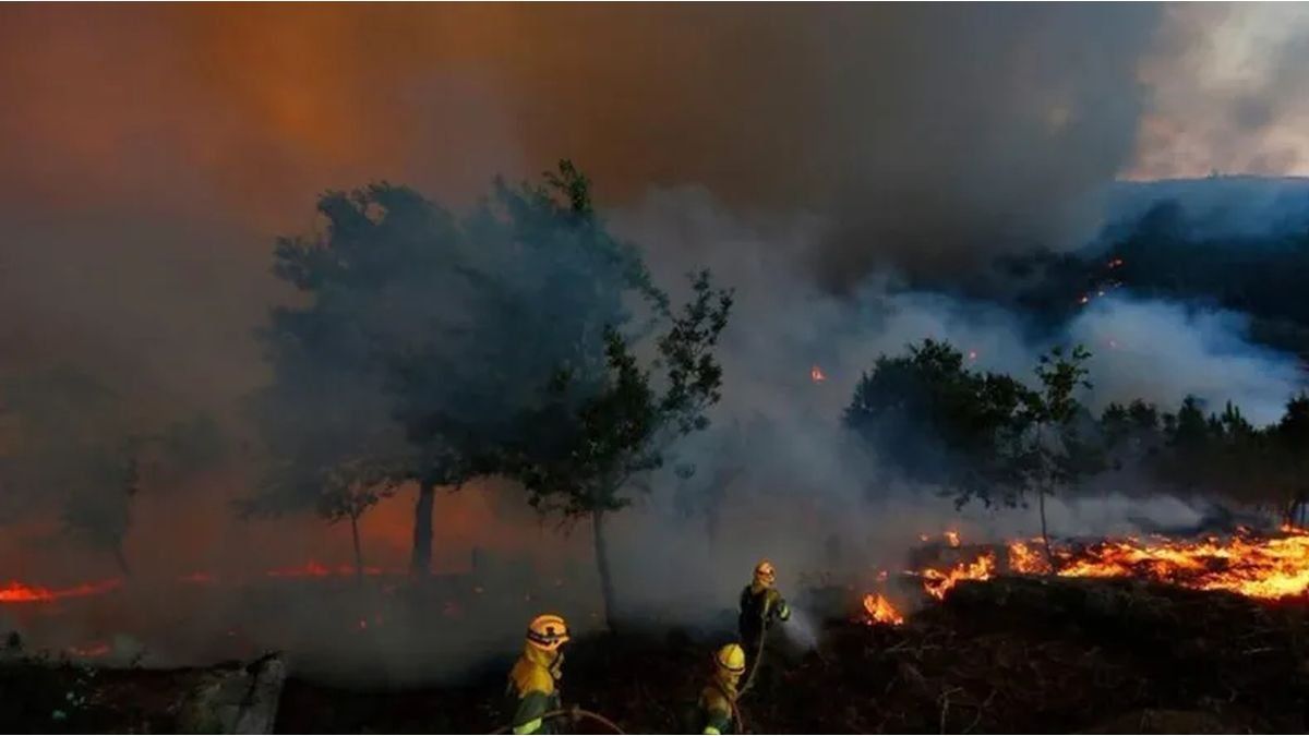 Fire panorama in Argentina: serious situation in El Bolsón, Bariloche, Epuyén and Corrientes