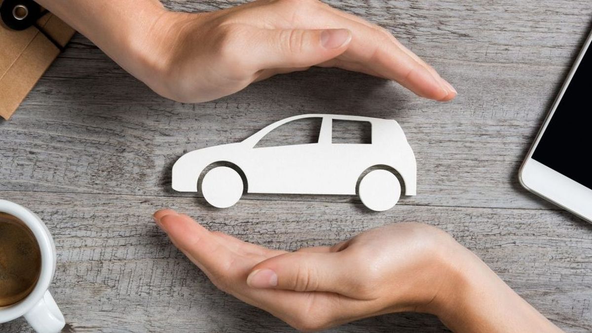 Insurance: they seek to modify the Penal Code to increase penalties for fraud