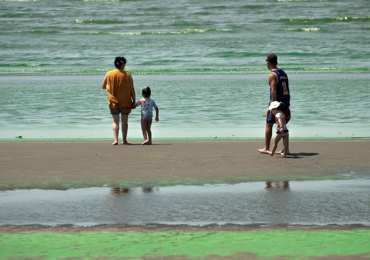 En caso de sentir olor u observar color en el agua no se debe tomar contacto y, a la vez, consultar en el centro de salud más cercano en el caso de intoxicación. En caso de sentir olor u observar color en el agua no se debe tomar contacto y, a la vez, consultar en el centro de salud más cercano en el caso de intoxicación.