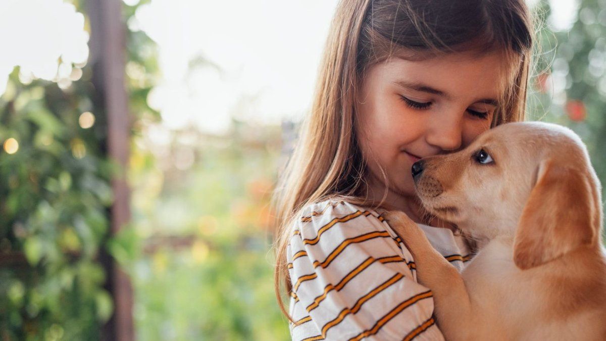 Why have a pet improving your health and mood? The specialists revealed the reason