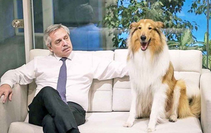 Dylan adquirió relevancia durante la campaña presidencial de Alberto Fernánez. Dylan adquirió relevancia durante la campaña presidencial de Alberto Fernánez.