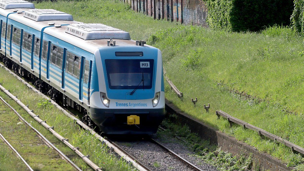 Trains: three branches of the Roca will be affected by works this Saturday and Sunday