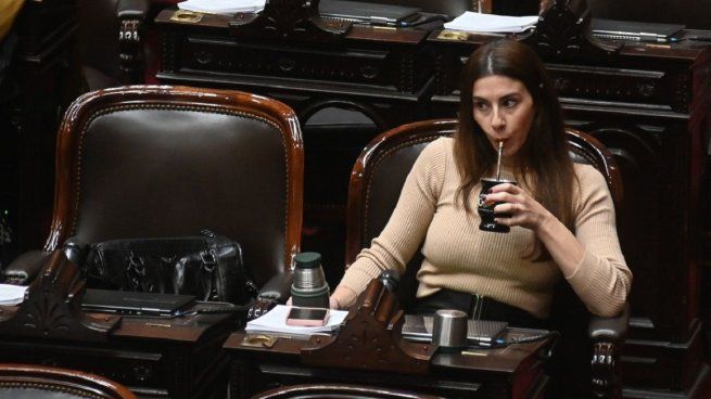 Archivo. Pagano fue de denunciada por la bancada libertaria.