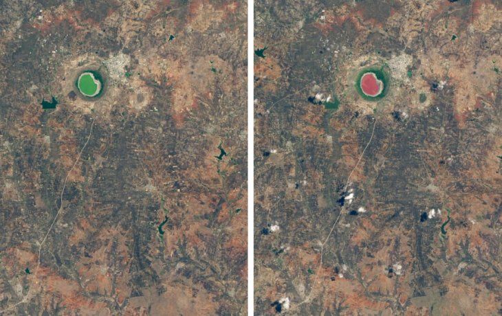 El agua del lago Lonar mutó de verde a rosado en cuestión de días.