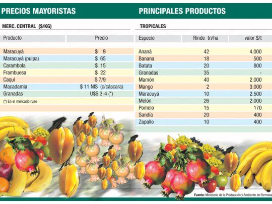 Frutas y verduras exóticas, una alternativa para el agro norteño