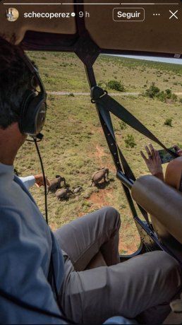 Checo Pérz disfruta de sus vacaciones junto a su esposa Carola Martínez en África y sobrevoló sobre una manada de elefantes. Checo Pérz disfruta de sus vacaciones junto a su esposa Carola Martínez en África y sobrevoló sobre una manada de elefantes.