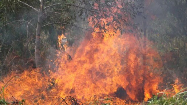 Los incendios forestales no dan tregua en Bolivia