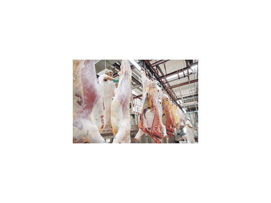 Tras el acuerdo comercial firmado con China, el ministro de Agricultura, Julián Domínguez, estimó que se podrían exportar hasta 5.000 toneladas de carne a ese país en los próximos doce meses.