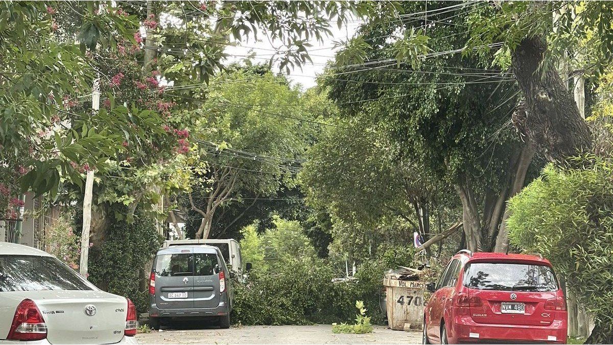 Light cuts, interruptions in public transport, roof blasting and trees fallen by the strong storm during the early morning