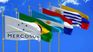 Mercosur could negotiate agreements with Japan, which already imports Uruguayan bovine language. Mercosur could negotiate agreements with Japan, which already imports Uruguayan bovine language.