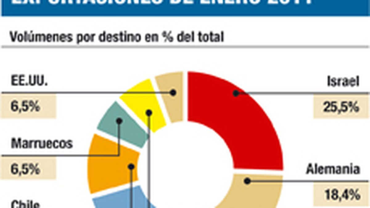 Aumentaron los envíos de carne al exterior en enero