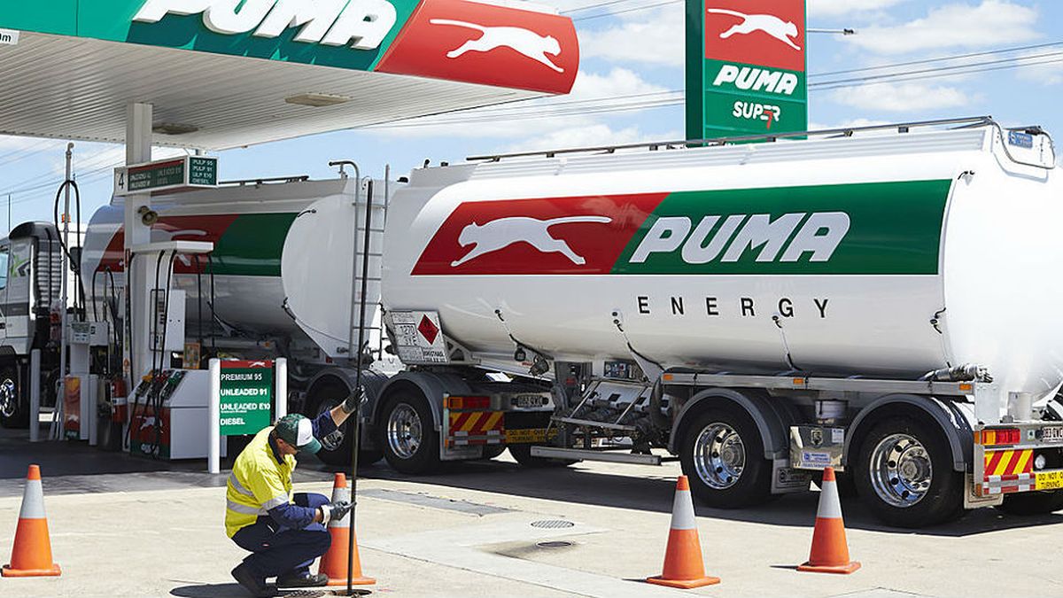 puma trafigura