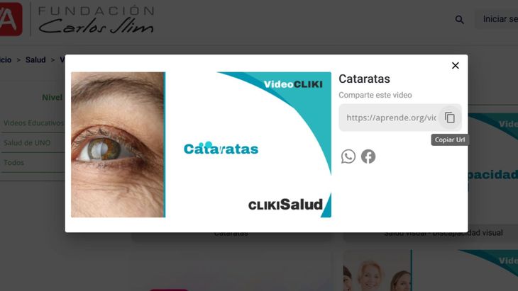 El apartado de salud aborda temas como el cáncer y su detección oportuna a través de videos breves El apartado de salud aborda temas como el cáncer y su detección oportuna a través de videos breves