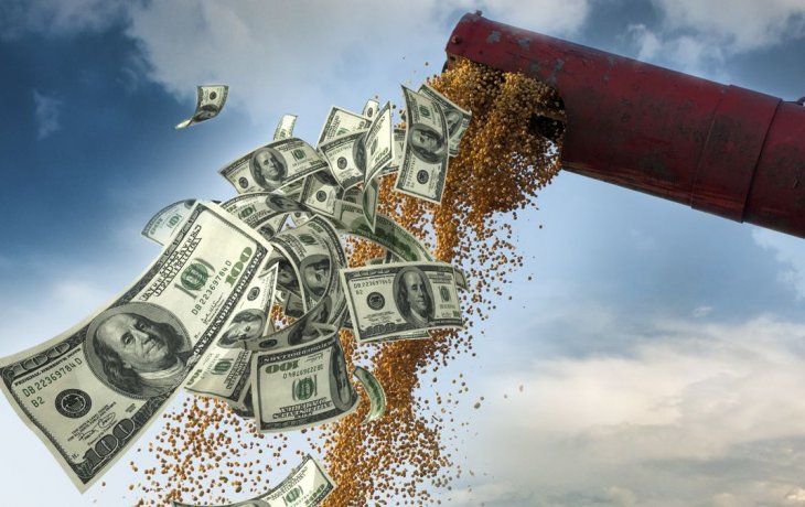 Buen arranque del dólar soja II: en el primer día agroexportadores liquidaron u$s292 millones