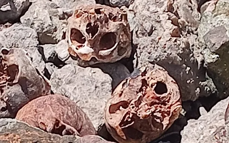 They found that skulls correspond to human remains.