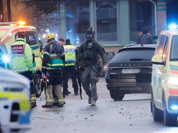 Según la policía sueca, se desconcen las causas del ataque.