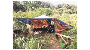 El Renatea detectó en Misiones nuevos casos de empleadores que tenían peones rurales en situación de trata laboral.