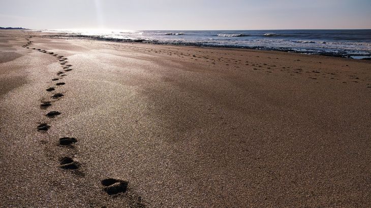 Es el lugar vacacional familiar por excelencia: sin conflictos, sin riesgos y con gran espacio para disfrutar. Es el lugar vacacional familiar por excelencia: sin conflictos, sin riesgos y con gran espacio para disfrutar.