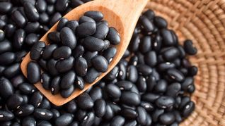 Conoce las propiedades curativas de los frijoles.