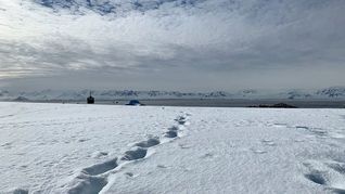 Hallan por primera vez microplásticos en la nieve fresca de la Antártida