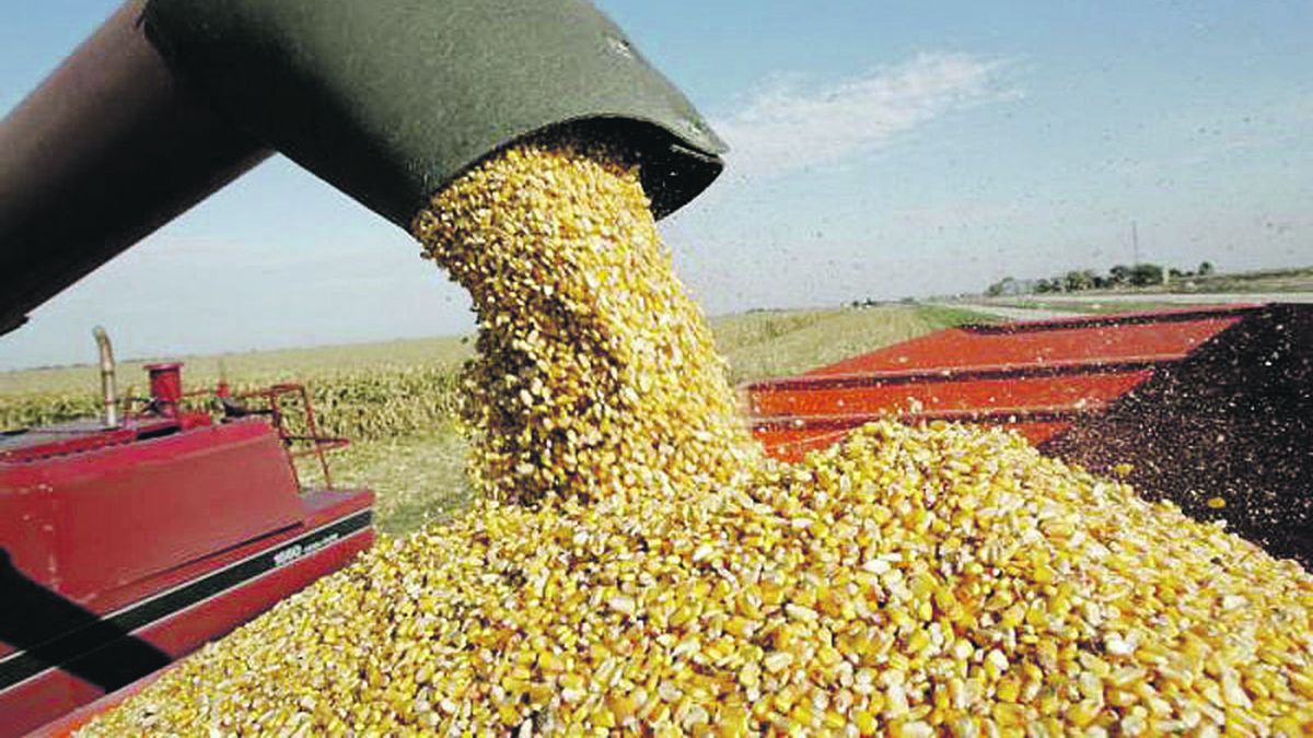 Wholesale prices rose less than 3% for the fifth consecutive month