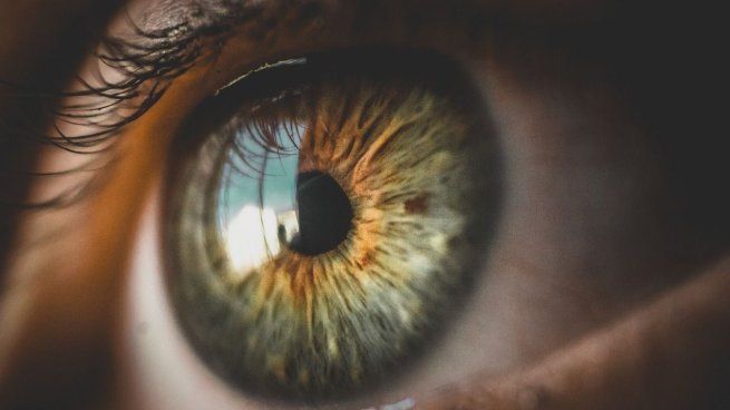El estudio analizó más de mil imágenes oculares de menores de edad para entrenar sistemas de IA capaces de detectar signos del TDAH.