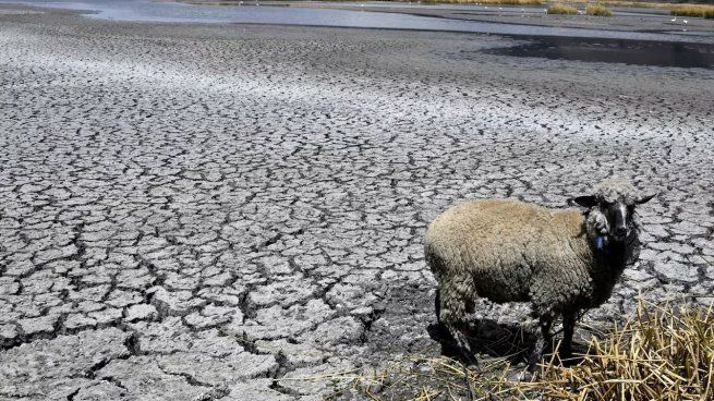 El lago Titicaca continúa evidenciando un importante descenso del nivel de agua
