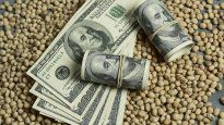 Mejoró en los últimos días la liquidación del agro.