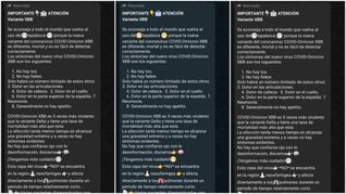 fake news en whatsapp: salud advirtio sobre mensajes falsos de nueva variante de covid