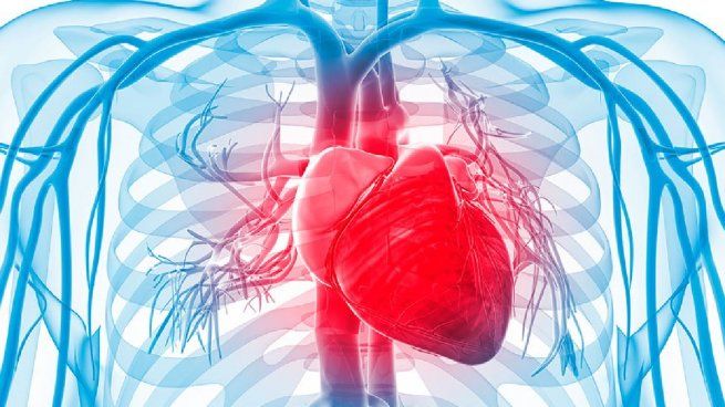 Estudio cardiológico revelador.&nbsp;