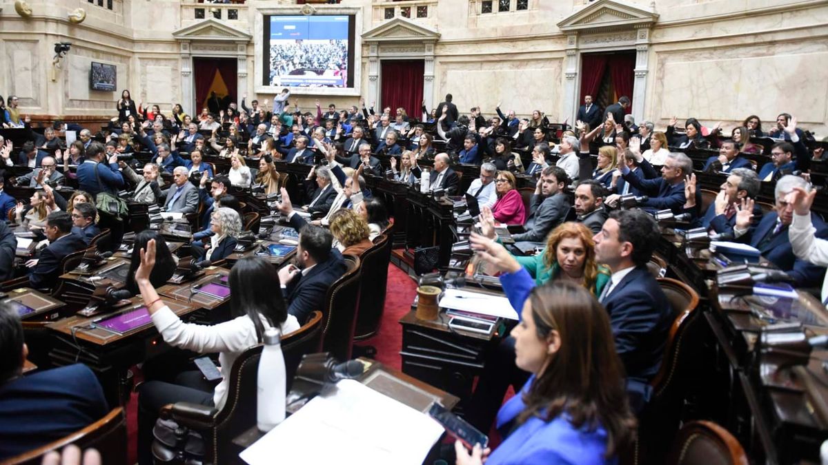 Veto on pensions: which deputies changed their vote