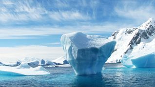 El cambio climático ya produce variaciones significativas en los ecosistemas costeros antárticos