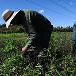 Los precios al productor acumulan un año de deflación mientras la inflación se mantiene por encima. Los precios al productor acumulan un año de deflación mientras la inflación se mantiene por encima.