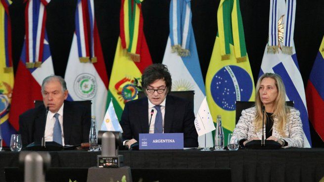 El presidente Javier durante su discurso en la Cumbre del Mercosur.