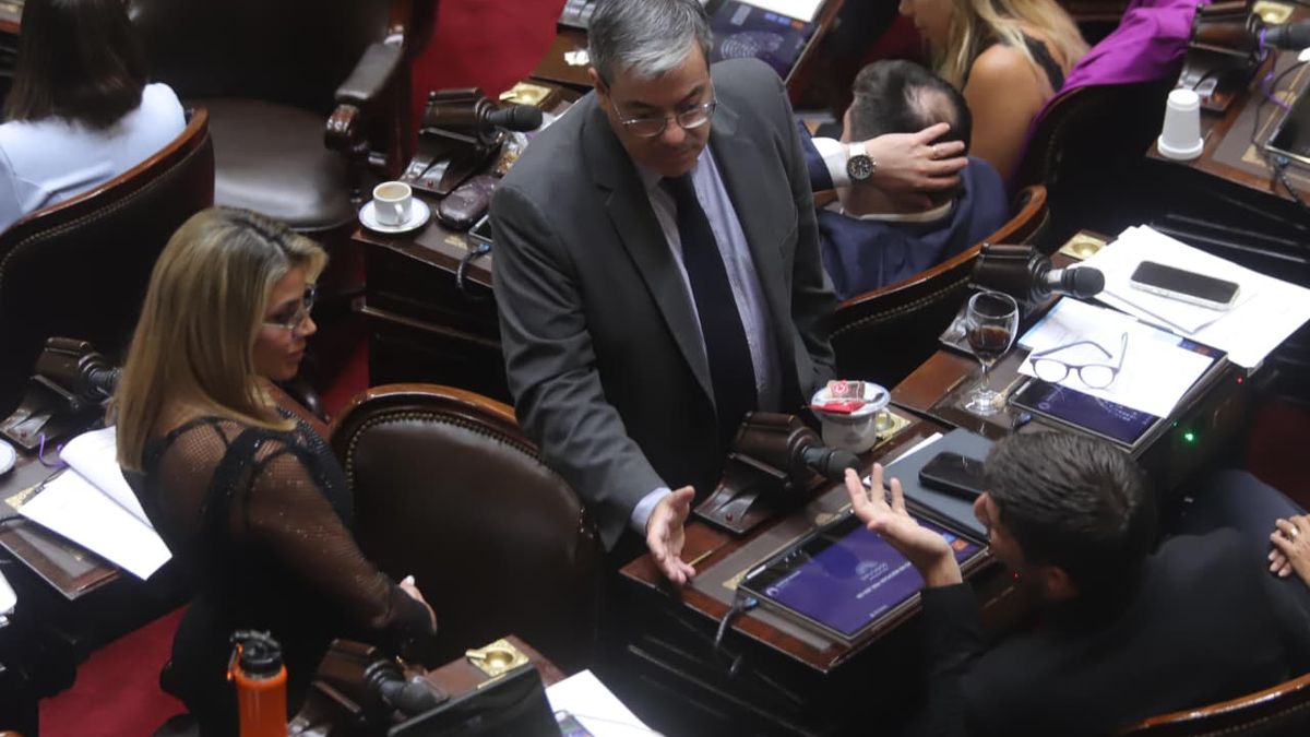 Con apoyos oficialistas y opositores, Diputados dio media sanci�n al acuerdo Mercosur-Uni�n Europea