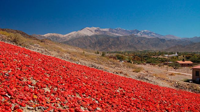 El turismo de Salta busca crecer en Payogasta para que se conozca su belleza y su historia.