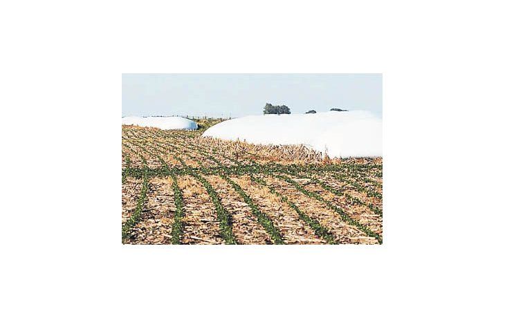 Aparecieron a fines de la década de los 90 los silobolsas  en los campos argentinos. La medida más utilizada, de 9 pies por 60 metros, almacena 200 toneladas de grano.