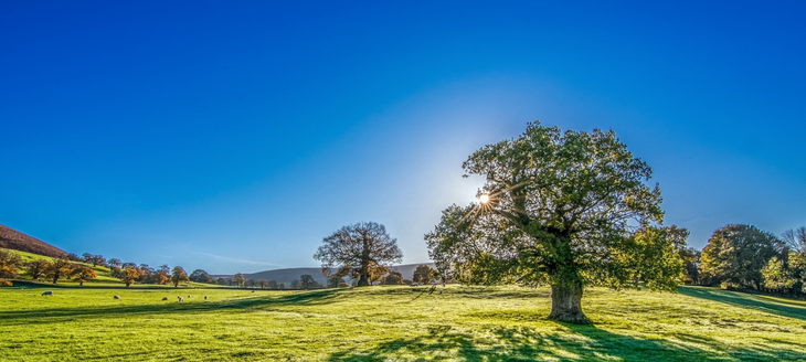 Día Mundial del Aire Puro