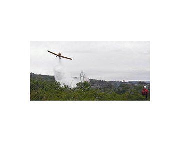 Cierran acceso al Parque Los Alerces el fuego descontrolado que devoró decenas de hectáreas de bosques nativos en el límite entre el Parque Nacional Los Alerces. Cierran acceso al Parque Los Alerces el fuego descontrolado que devoró decenas de hectáreas de bosques nativos en el límite entre el Parque Nacional Los Alerces.