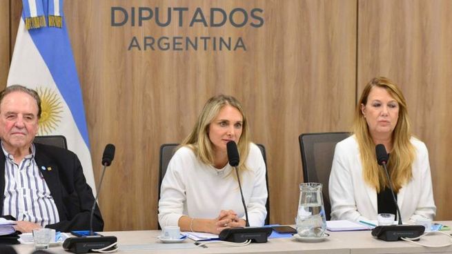 Diputados se reunirán en un plenario de las comisiones de Seguridad y Previsión Social, que preside Gabriela Brouwer (UCR), y de Presupuesto y Hacienda, a cargo de José Luis Espert (LLA).