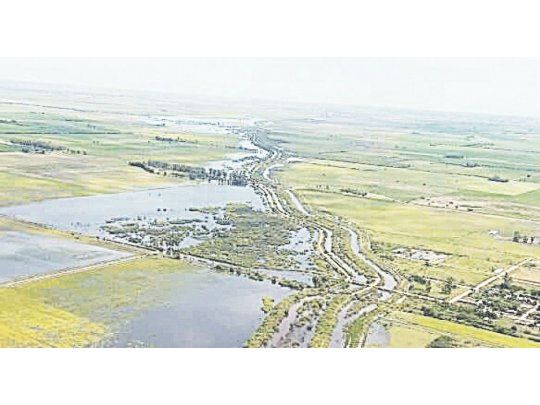 soja complicada. Actualmente habría alrededor de 770.000 hectáreas de la oleaginosa afectadas por las inundaciones,