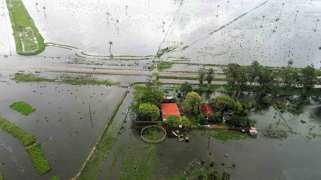 La emergencia agropecuaria continúa golpeando al este de país.