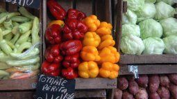 Greengrocers will share the monthly limit with purchases in warehouses, kiosks, bakeries, among others. Greengrocers will share the monthly limit with purchases in warehouses, kiosks, bakeries, among others.