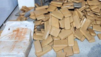 Fuerzas federales que secuestraron m&aacute;s de 13 toneladas de&nbsp;marihuana&nbsp;en cuatro operativos&nbsp;