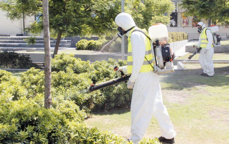 Cumbre de ministros de Salud: preocupan dengue y sarampión