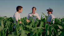 desde gualeguay, el maiz crece gracias a un servicio de agricultura de precision en nutricion 