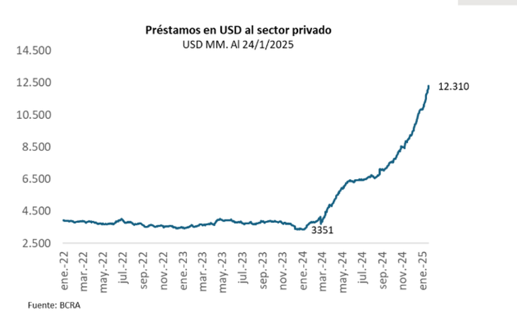 The growth of dollar loans, according to Quantum Finance, Daniel Marx's consultant The growth of dollar loans, according to Quantum Finance, Daniel Marx's consultant