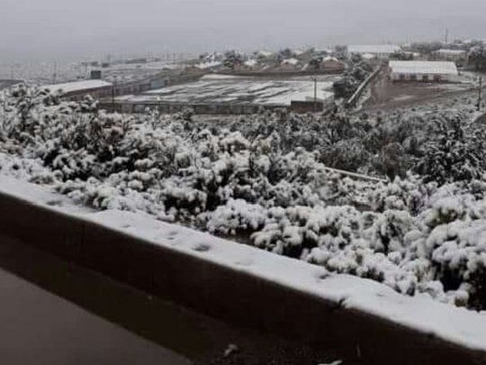 Se debe recordar que en la zona más alta de la provincia es muy común que baje la temperatura durante la noche, por lo que este tipo de fenómenos se repiten casi todos los años, como en este caso, en Tres Cruces, Chanchillos, El Aguila.