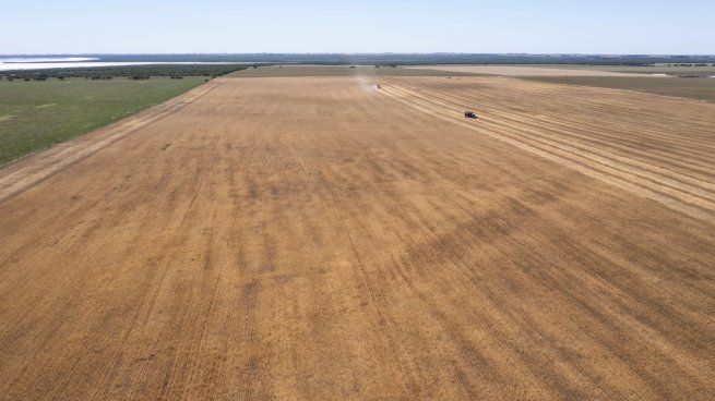 Es la expectativa climática es que&nbsp;no habrá lluvias que favorezcan el desarrollo de los cultivos.&nbsp;