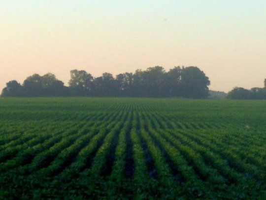 La ley de tierras fue derogada por el DNU de Javier Milei. 
